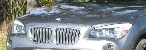 BMW X1 - Niere
